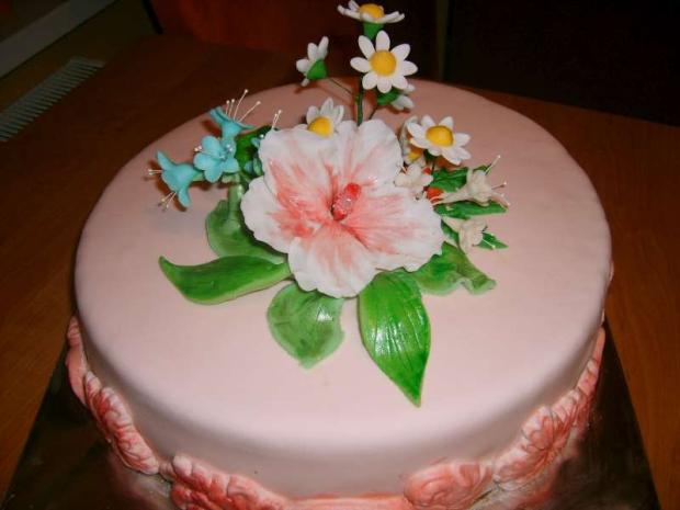 ...pre starkú k 80-ke...môj prvý ibištek..., torta, Narodeninové torty ...pre starkú k 80-ke...môj prvý ibištek..., torta, Narodeninové torty, MamaEma, 1