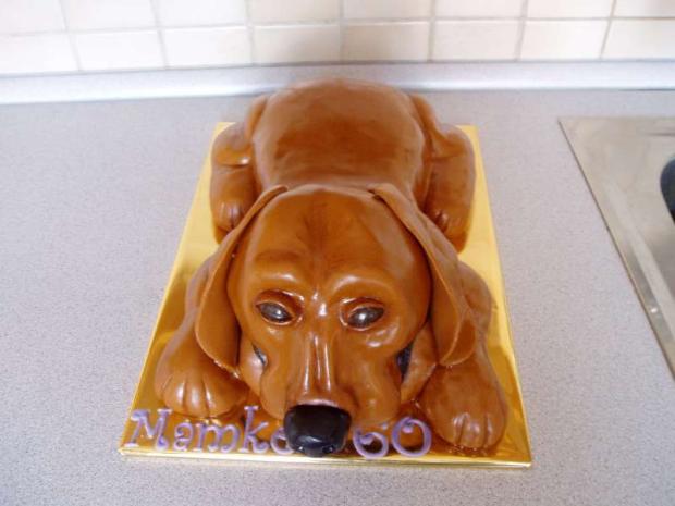 pes, torta, Netradičné torty pes, torta, Netradičné torty, petra33, 1