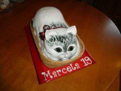 maciatko, torta, Narodeninové torty maciatko, torta, Narodeninové torty, SILWIA 21, 1