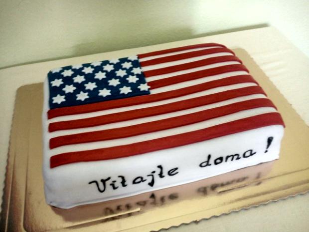 Americka vlajka, torta, Narodeninové torty, Lenkavisna, 1