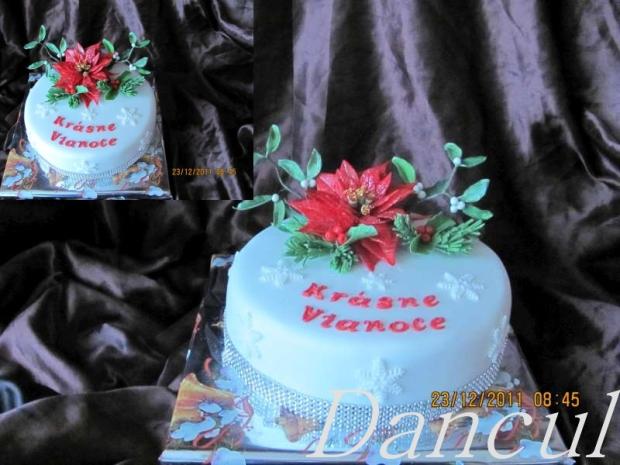 VIANOCNA, torta, Vianočné torty VIANOCNA, torta, Vianočné torty, Dancul, 1
