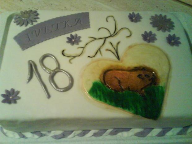 moje prvé morské prasiatko, torta, Narodeninové torty, livia99, 1