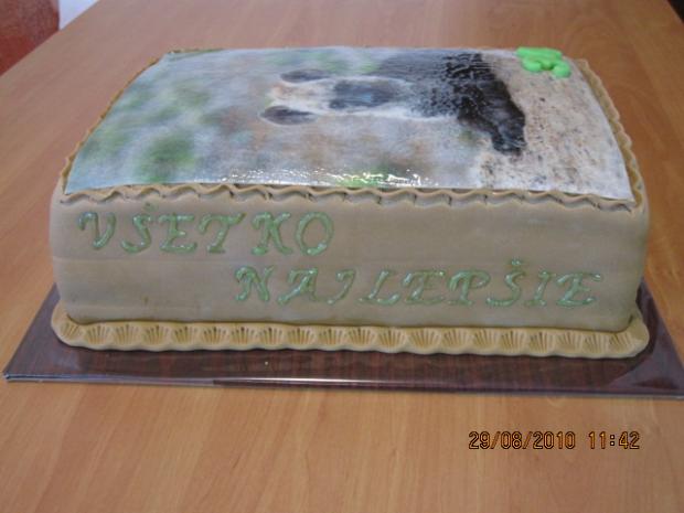 Hyena  z boku :), torta, Narodeninové torty, Torty Snov, 1