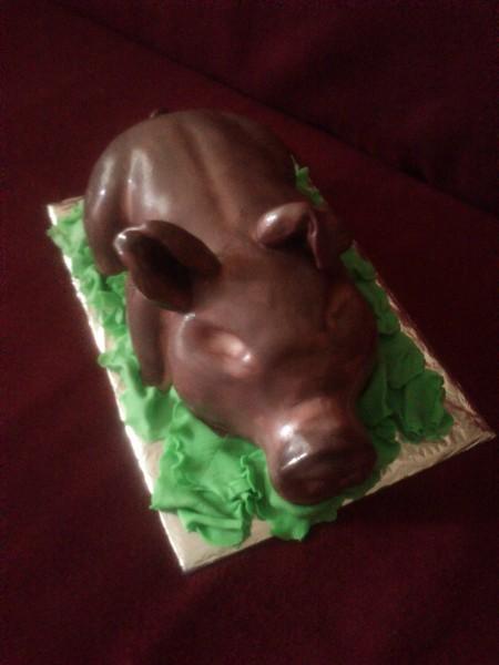 pečené prasiatko iný pohlad, torta, Narodeninové torty, katarina muchova, 1