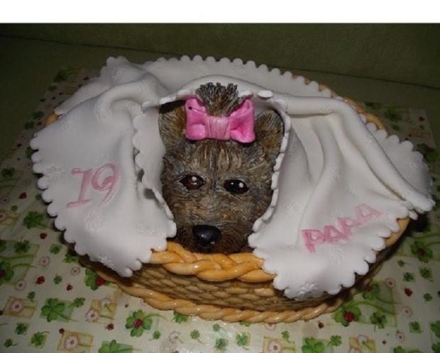 Yorkshir Pupi pre našu PAPU, torta, Netradičné torty Yorkshir Pupi pre našu PAPU, torta, Netradičné torty, leti, 1