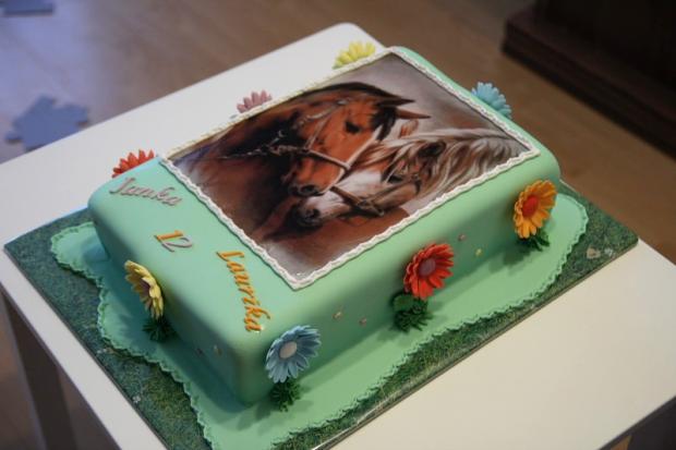 Kone, torta, Ostané torty pre deti, Spagi, 1
