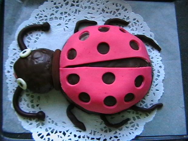 Lienka, torta, Torty so zvieratkami, sladkakatka, 1