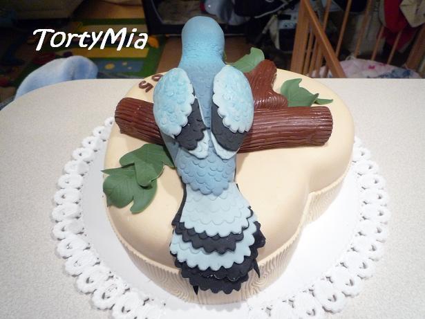 Holubiarovi, torta, Narodeninové torty, TortyMia, 1