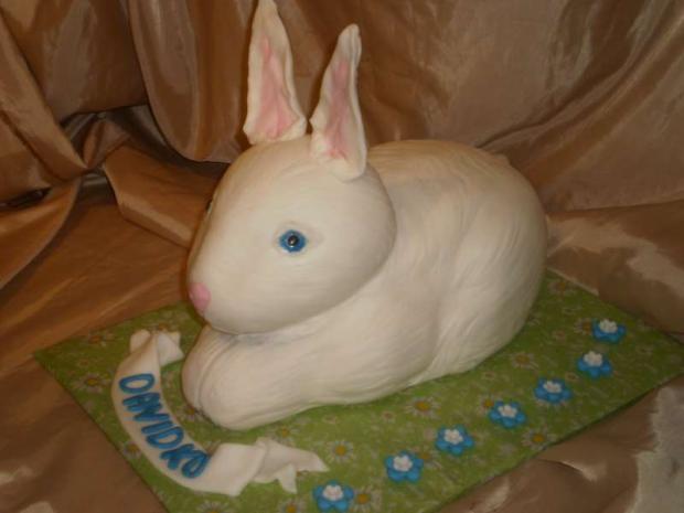 zajačik, torta zajačik, torta, akinom, 1