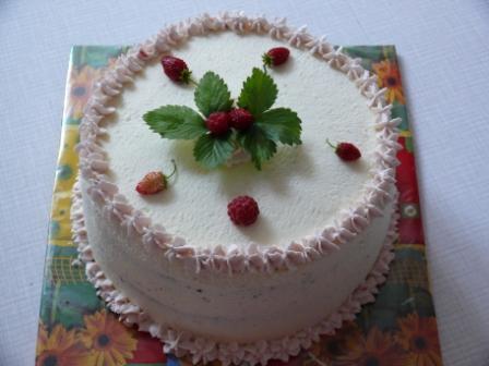Ke kávičce, torta, Lenča Š., 1