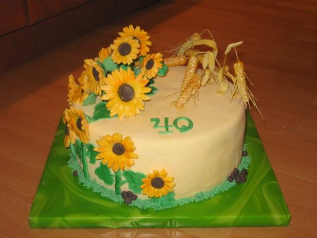 pre poľnohospodára, torta, Narodeninové torty pre poľnohospodára, torta, Narodeninové torty, dace, 1