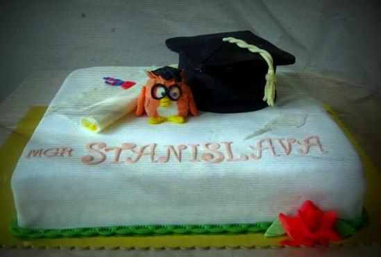 promočná s múdrou sovou, torta, anna.ka, 1