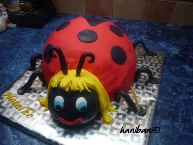 lienka, torta, Torty so zvieratkami, hanibani, 1