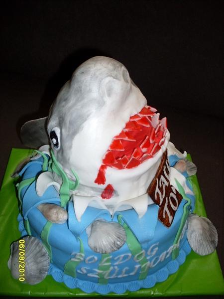 shark, torta, Narodeninové torty, sheidy, 1
