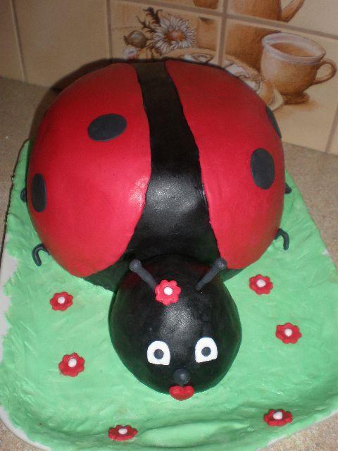 lienka, torta, Ostané torty pre deti, junaslubica, 1