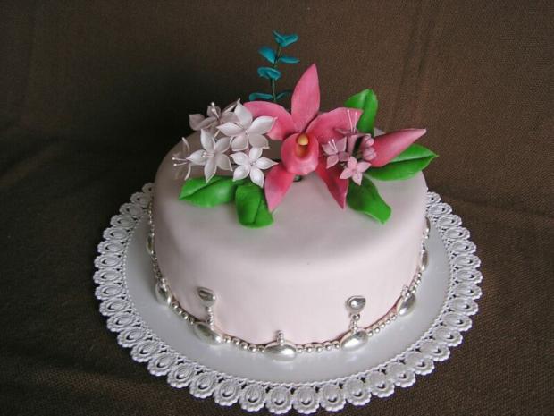 pre mladú slečnu, torta, Bohus_L, 1