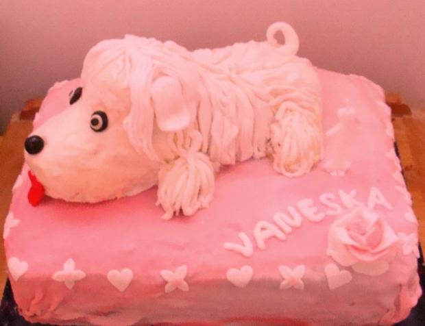 torta psik, torta, Narodeninové torty, vaneska1, 1