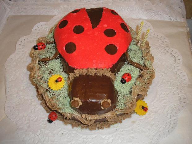 Torta lienka, torta, Netradičné torty, JankaM, 1