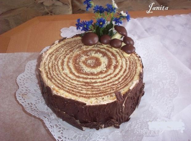 s hubkami, torta s hubkami, torta, Janita, 1
