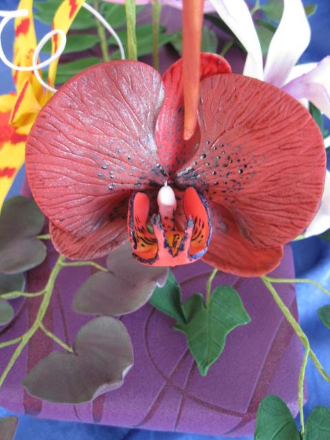 orchidei, torta, Ozdoby na torty orchidei, torta, Ozdoby na torty, monceb, 1