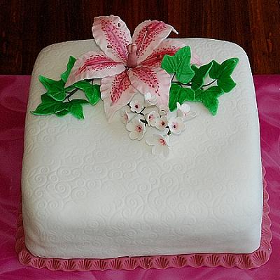 Pre radosť, torta, lesika, 1