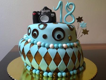 Narodeninová s fotoaparátom  , torta, Narodeninové torty, eva 81, 1