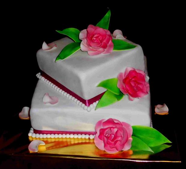 Narodeninová, torta, Narodeninové torty Narodeninová, torta, Narodeninové torty, kacena666, 1