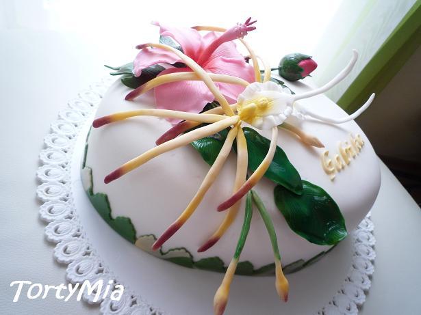 Pavúčia orchidea a ibištek, torta, Narodeninové torty, TortyMia, 1