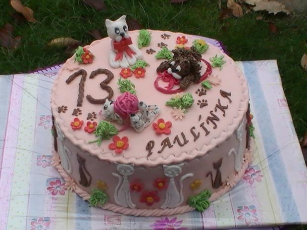 mačičky, torta, Torty so zvieratkami, marlenka 771, 1