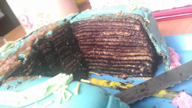 Doboška v reze :), torta, Narodeninové torty, Leenkaa2708, 1