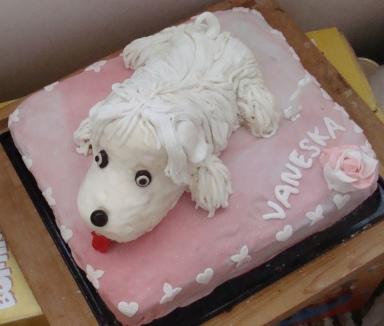 iny pohlad, torta iny pohlad, torta, vaneska1, 1