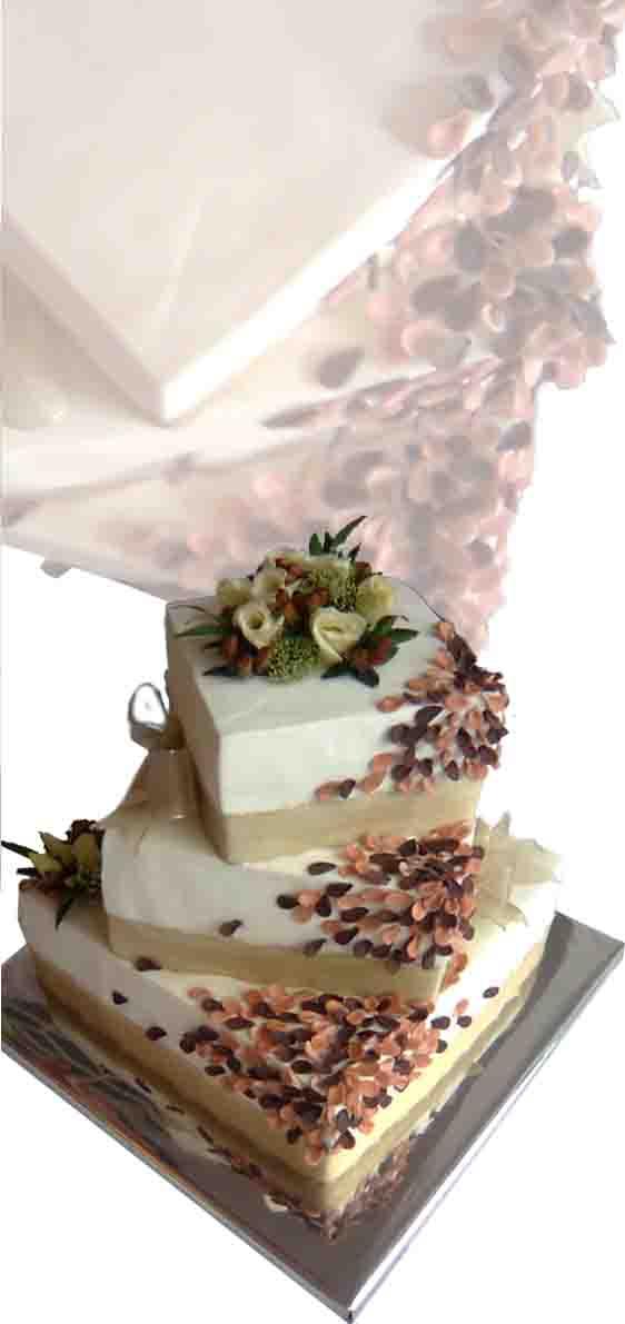 svadobna , torta, Svadobné torty svadobna , torta, Svadobné torty, majaha, 1