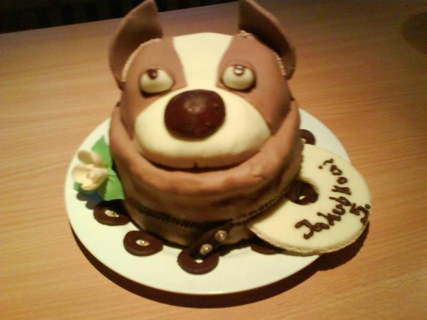 Púzdro na cedečka, torta, Ostané torty pre deti Púzdro na cedečka, torta, Ostané torty pre deti, mazda, 1