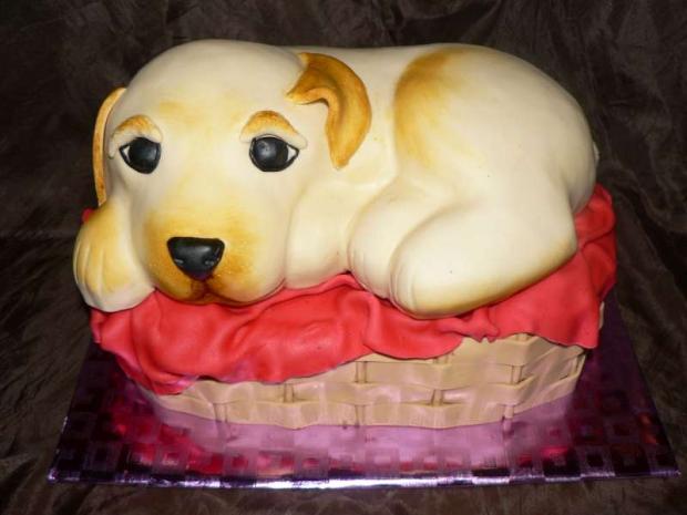 Psík v košíku, torta, Torty so zvieratkami Psík v košíku, torta, Torty so zvieratkami, Agika, 1
