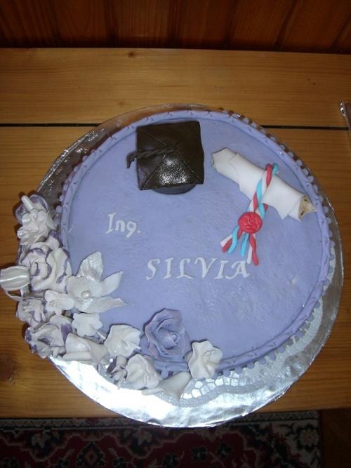 Promocie, torta, Torty - škola, stužková Promocie, torta, Torty - škola, stužková, AnkaHanka, 1