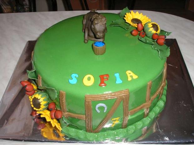 Pre Sofiu, ktorá má rada koníky, torta, Narodeninové torty, petra 18, 1