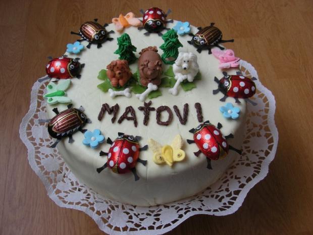 Havkovia pre Maťka, torta, Torty so zvieratkami Havkovia pre Maťka, torta, Torty so zvieratkami, evita16, 1