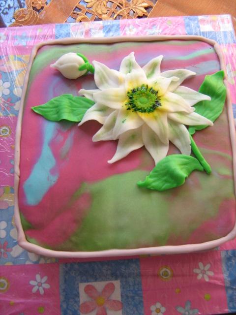 Torta k meninám, torta, lubkapav, 1