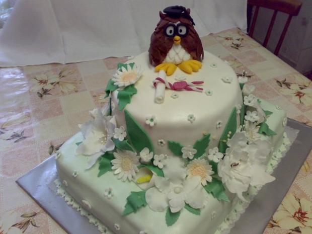 na promócie, torta, Torty - škola, stužková na promócie, torta, Torty - škola, stužková, 01timea, 1