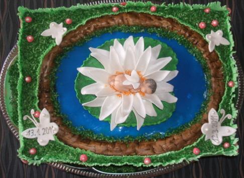 na krst, torta, Ostané torty pre deti na krst, torta, Ostané torty pre deti, bellajani, 1