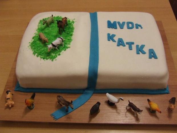 promocna, torta, ivana.rumanovska, 1