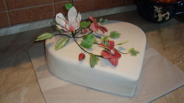 Magnolia, torta, Narodeninové torty Magnolia, torta, Narodeninové torty, shura, 1