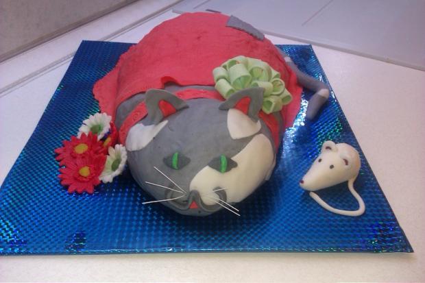 Kocúr pre mlsného kocúra..., torta, Narodeninové torty, Badka, 1