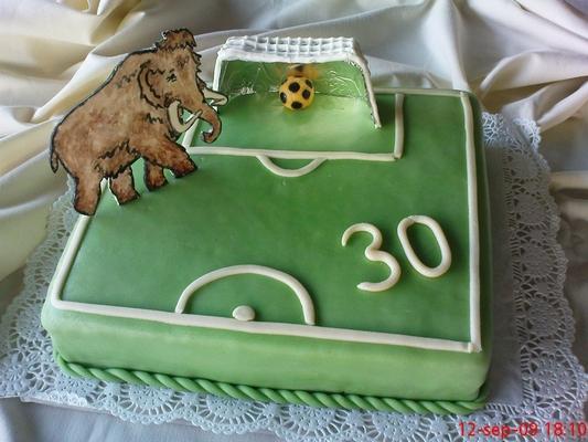 Pre futbalistu z tímu Mamuti, torta, Športové torty, OLINKA_liska_ryska, 1