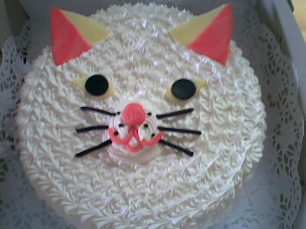 Mačka, torta, Torty so zvieratkami, sladkakatka, 1