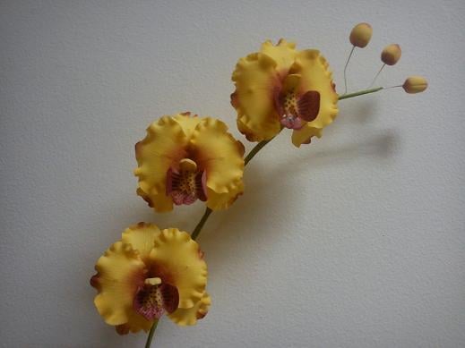 orchidejka, torta, Ozdoby na torty orchidejka, torta, Ozdoby na torty, natysaty, 1