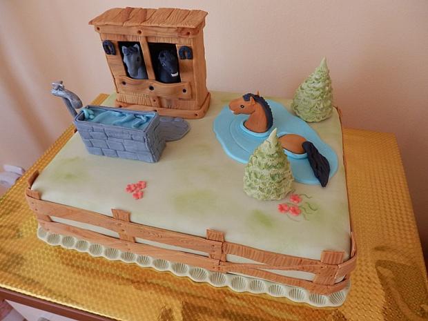 narodeninová, torta, Narodeninové torty, AnajL, 1