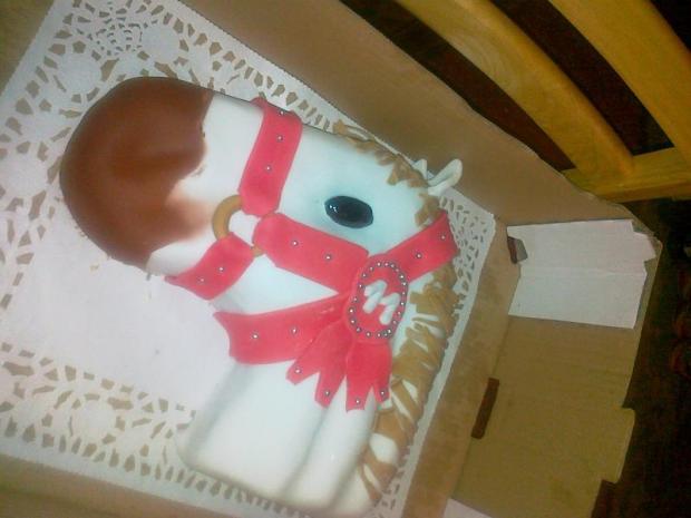 kôn, torta, Netradičné torty, olgarozkova, 1