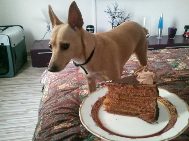 cokoladova torticka k meninkam, torta cokoladova torticka k meninkam, torta, petulda33, 1