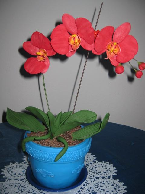Orchidei, torta, Netradičné torty Orchidei, torta, Netradičné torty, monceb, 1
